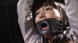 クライマックスダイジェスト ○鬼 ’12    SM動画番号 art-0791